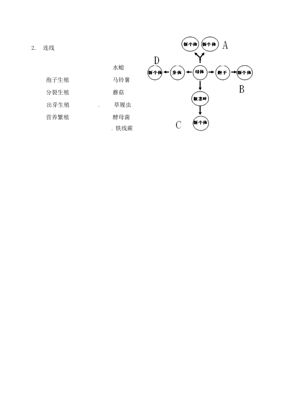 北京市延庆县第四中学八年级生物上册《10.2无性生殖》学案_第3页