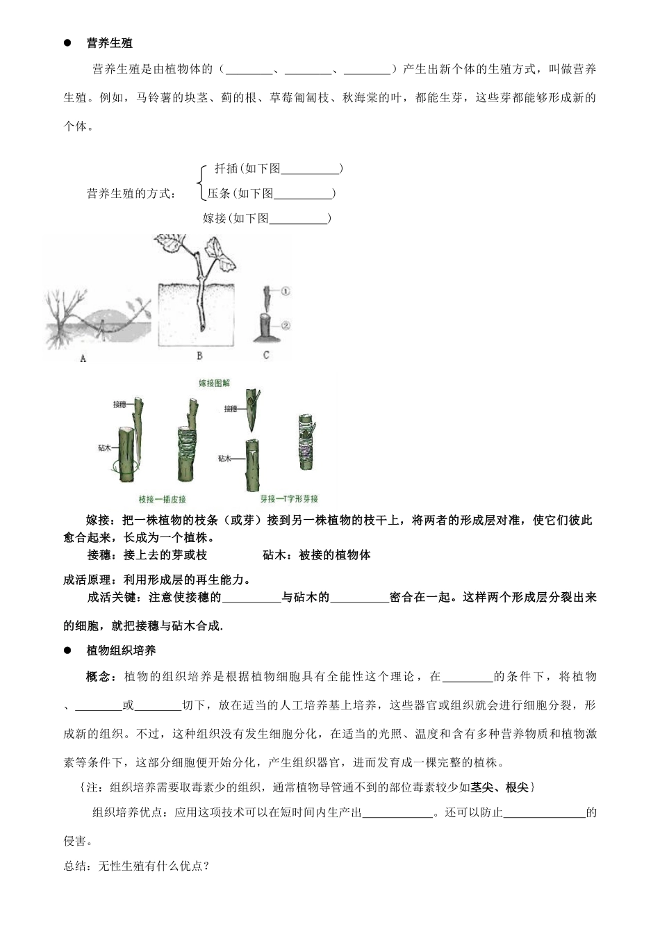 八年级生物上册 第14章第一节生物的无性生殖学案（无答案） 上教版_第2页