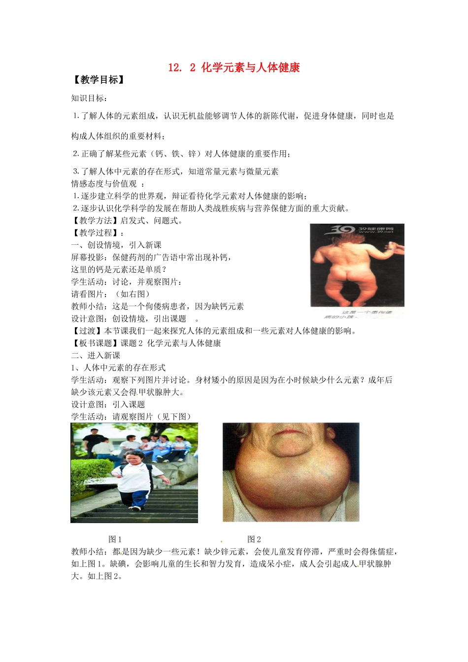 湖南省攸县明阳学校九年级化学下册 12. 2 化学元素与人体健康教案 新人教版_第1页