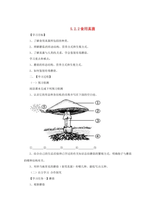 八年级生物上册 5.2.2 食用真菌导学案 （新版）冀教版-（新版）冀教版初中八年级上册生物学案