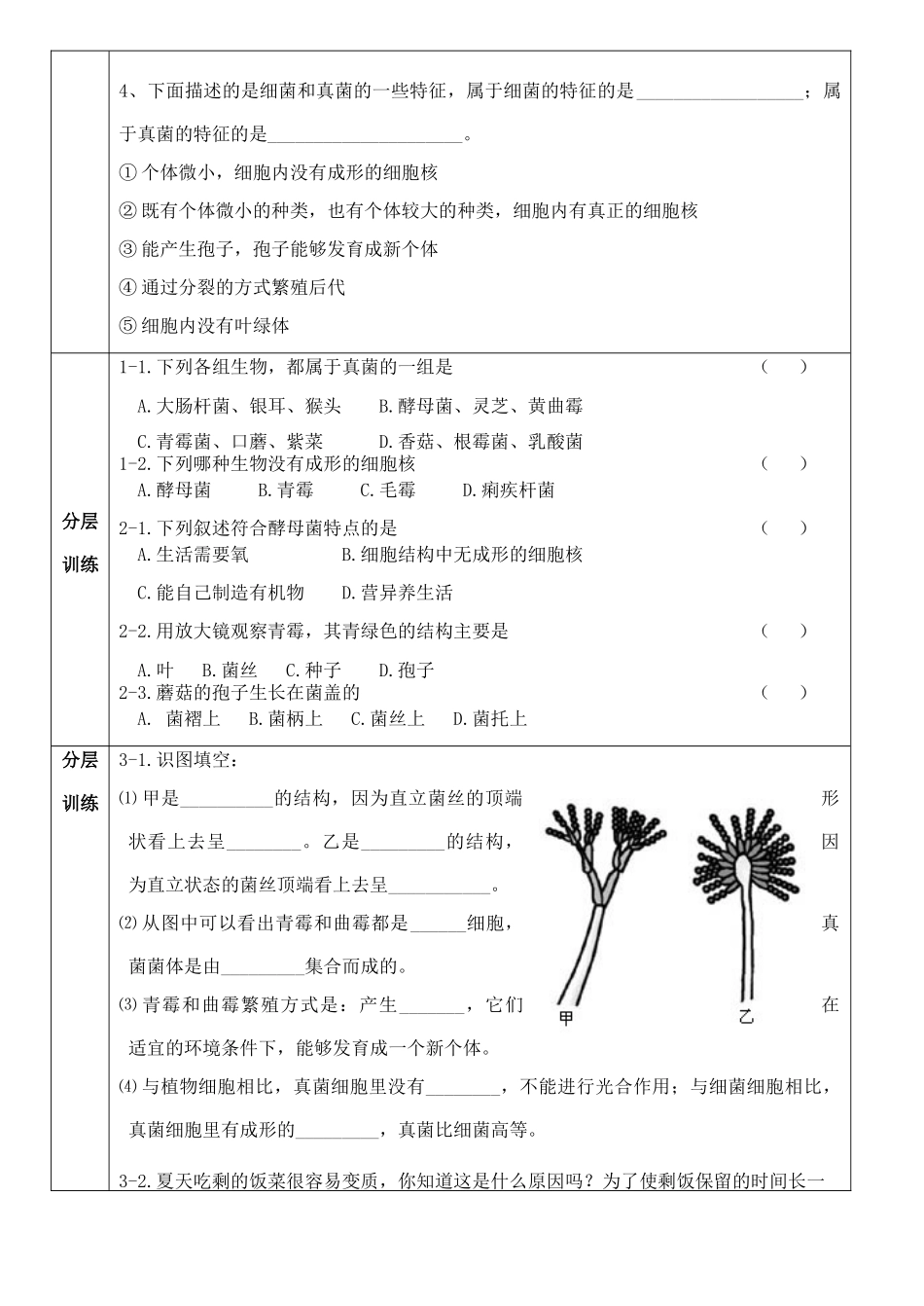 八年级生物上册 第五单元 第四章 第三节 真菌学案 人教新课标版_第2页
