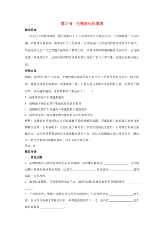 八年级生物下册《7.3.3 生物进化的原因》学案 新人教版