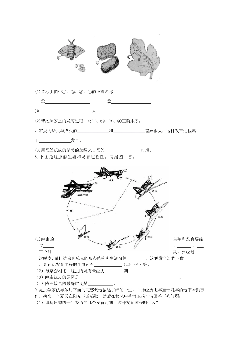 八年级生物下册《昆虫的生殖和发育》导学案 新人教版_第3页
