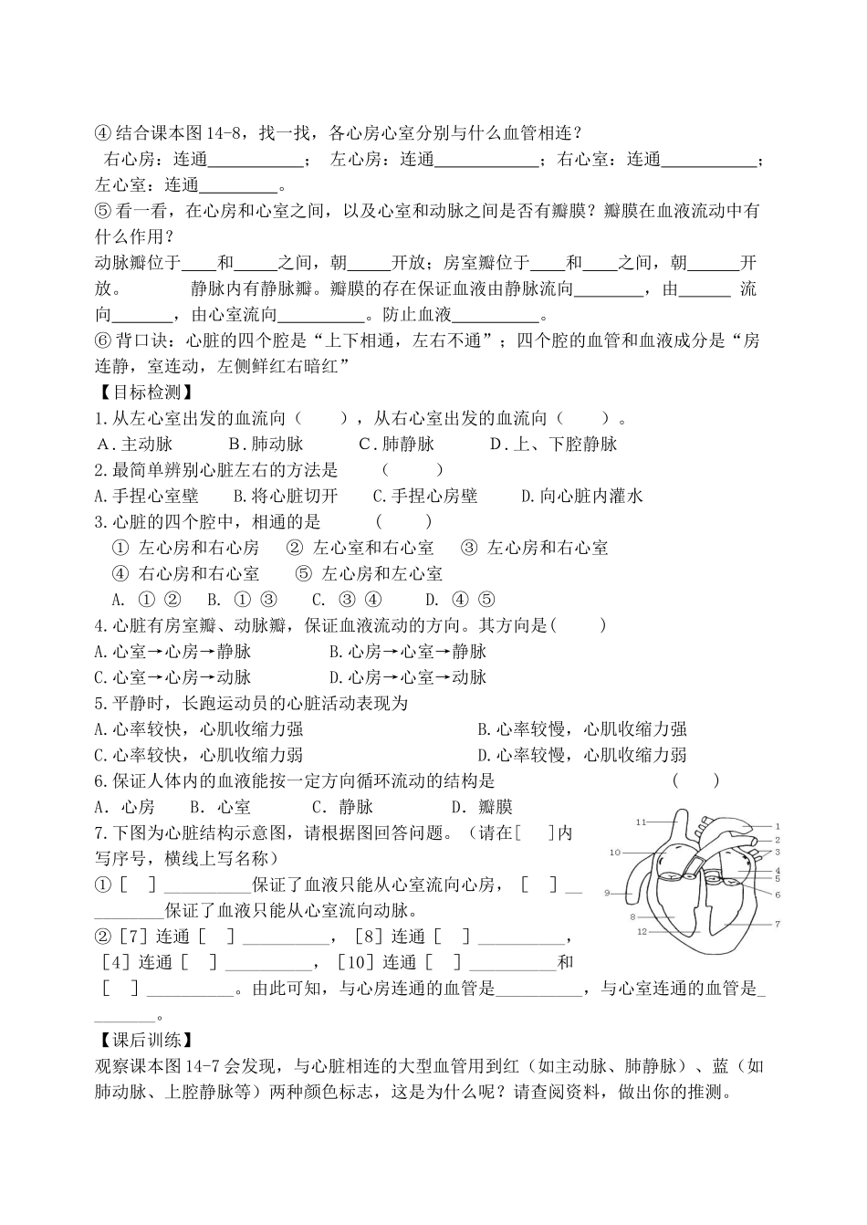 八年级生物上册 第14章维持生物体内的平衡心脏学案 苏科版_第2页