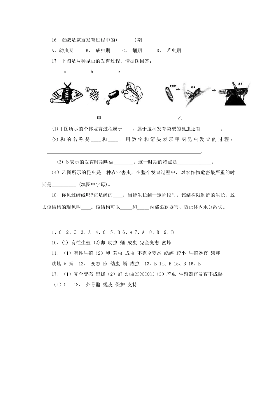 春八年级生物下册 第七单元 第一章 第二节 昆虫的生殖和发育学案 （新版）新人教版-（新版）新人教版初中八年级下册生物学案_第3页