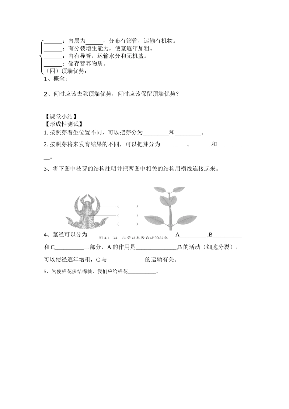 八年级生物芽的结构和类型导学案全国通用_第2页