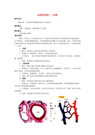 湖南省安仁县宜溪学校七年级生物上册《血流的管道——血管》教学案 新人教版
