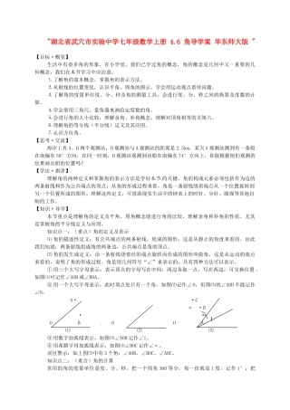 湖北省武穴市实验中学七年级数学上册 4.6 角导学案 华东师大版 