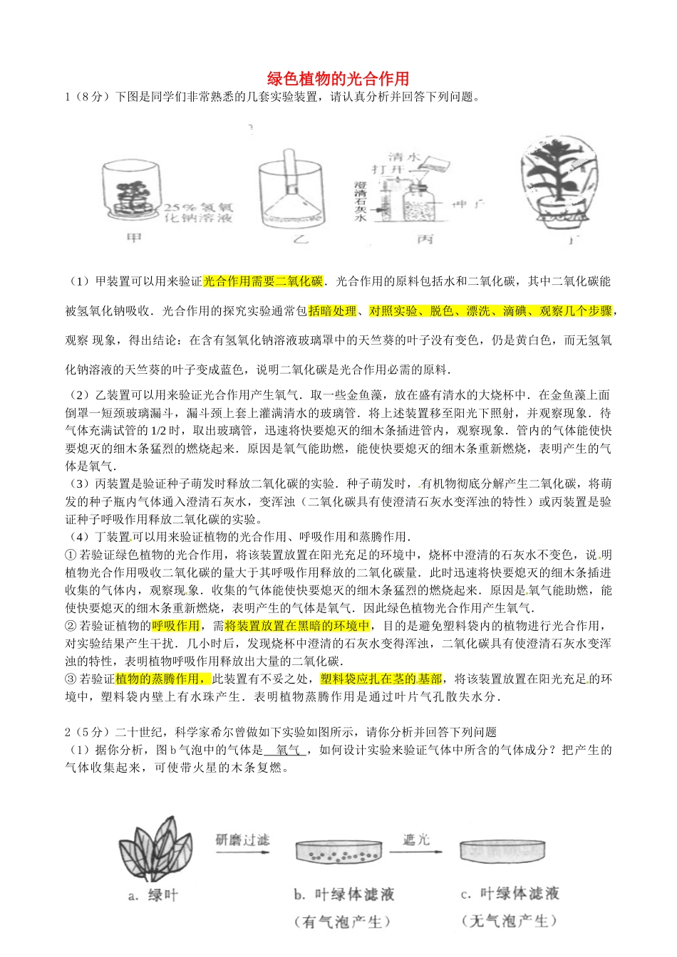 初中七年级生物上册 2.1.3 绿色植物的光合作用学案 （新版）济南版-（新版）济南版初中七年级上册生物学案_第1页