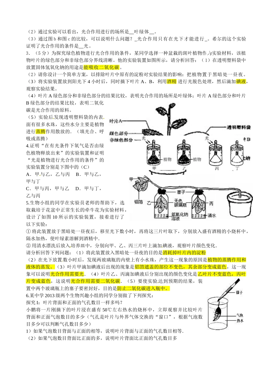初中七年级生物上册 2.1.3 绿色植物的光合作用学案 （新版）济南版-（新版）济南版初中七年级上册生物学案_第2页