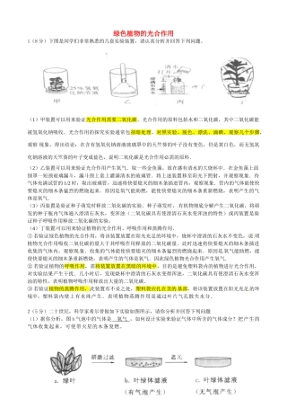 初中七年级生物上册 2.1.3 绿色植物的光合作用学案 （新版）济南版-（新版）济南版初中七年级上册生物学案