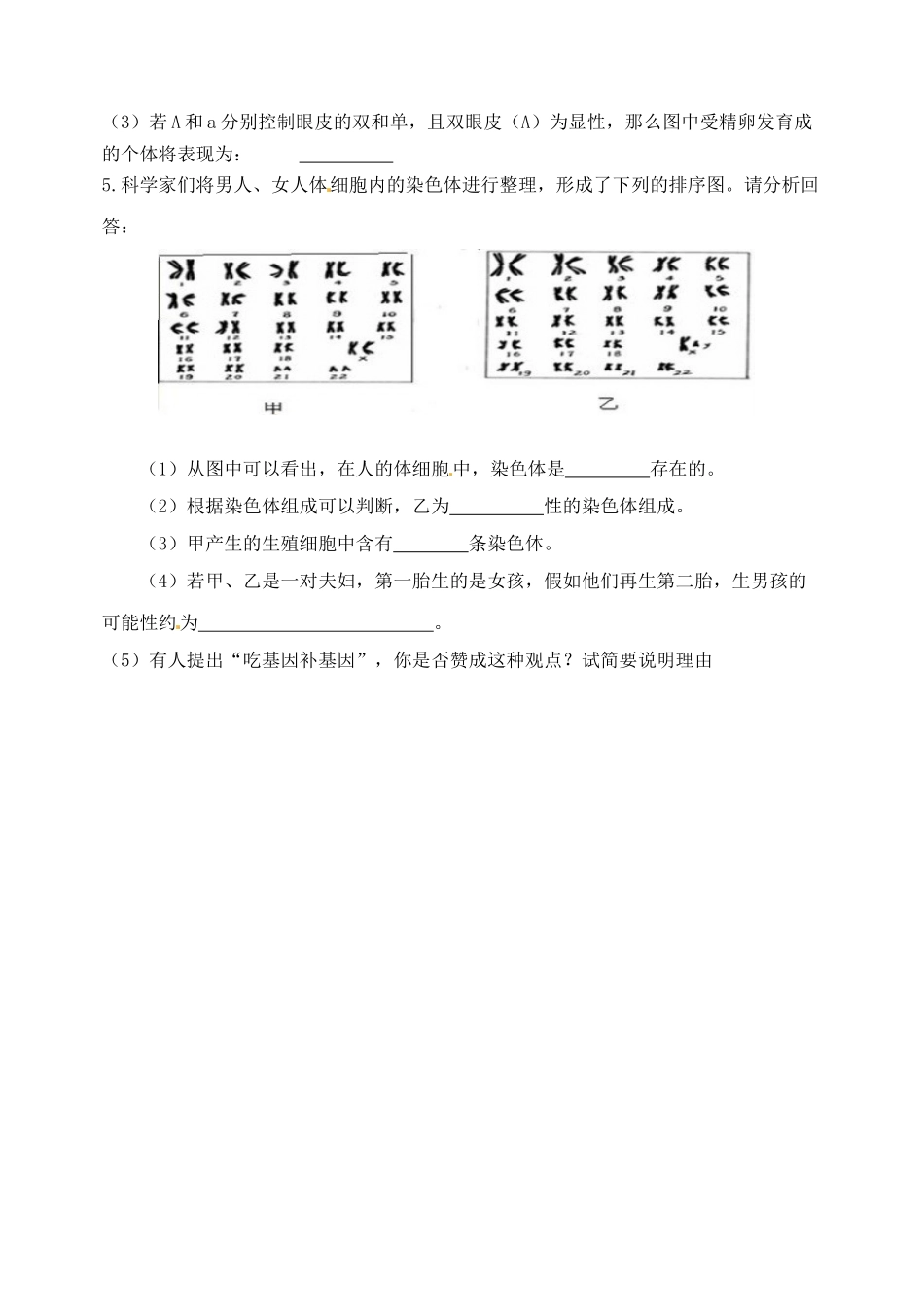 八年级生物上册 第四单元 第四章 第三节 人类染色体与性别决定学案（无答案）（新版）济南版-（新版）济南版初中八年级上册生物学案_第3页