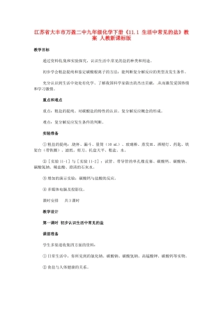 江苏省大丰市万盈二中九年级化学下册《11.1 生活中常见的盐》教案 人教新课标版
