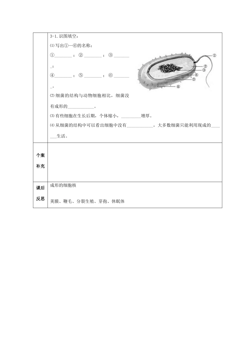 八年级生物上册 第五单元 第四章 第二节 细菌学案 人教新课标版_第3页