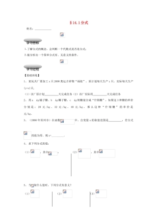 八年级数学上册 第十四章 分式 14.1 分式快乐学案3 冀教版