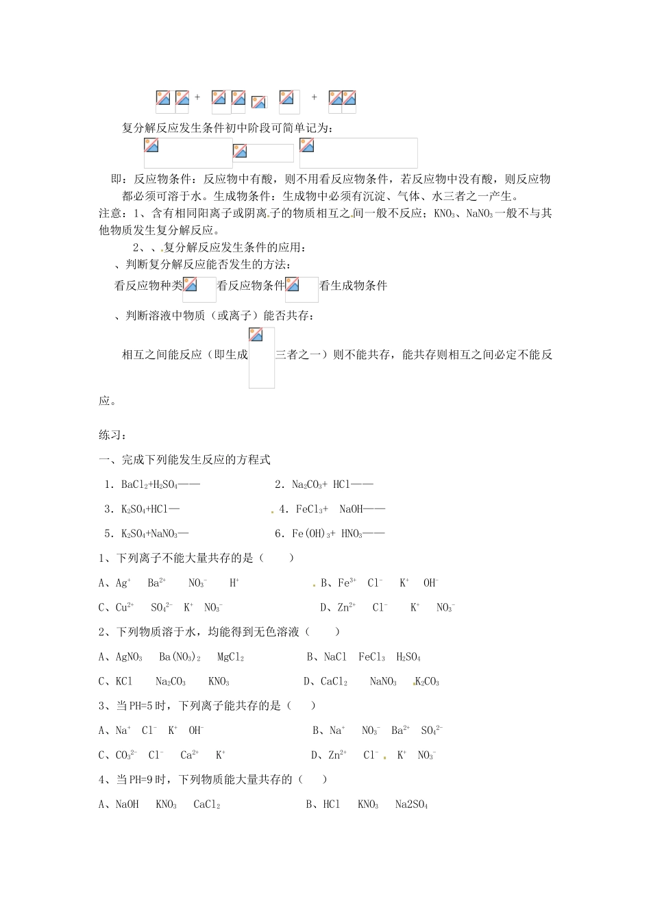 广东省韶关四中九年级化学下册《复分解反应发生的条件及应用》教案 人教新课标版_第2页
