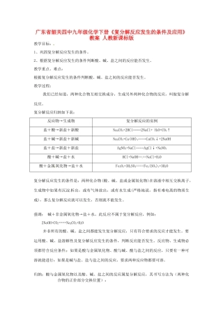 广东省韶关四中九年级化学下册《复分解反应发生的条件及应用》教案 人教新课标版