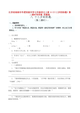 江苏省高邮市车逻初级中学七年级语文上册 8《十三岁的际遇》第二课时导学案 苏教版