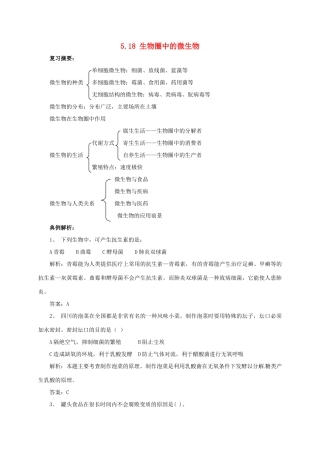 八年级生物上册 5.18 生物圈中的微生物导学案 北师大版-北师大版初中八年级上册生物学案