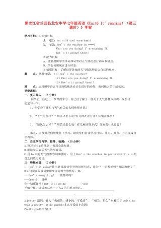 黑龙江省兰西县北安中学七年级英语《Unit6 It’running！（第三课时）》学案