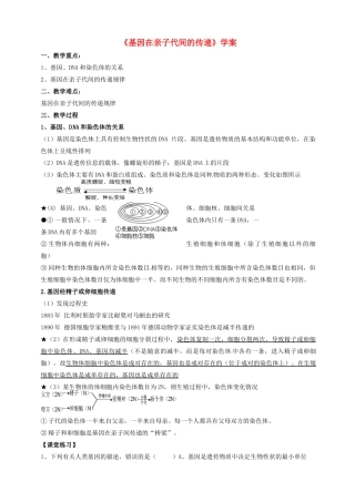 广东省襄阳四十七中八年级生物第二章第二节《基因在亲子代间的传递》学案（无答案）