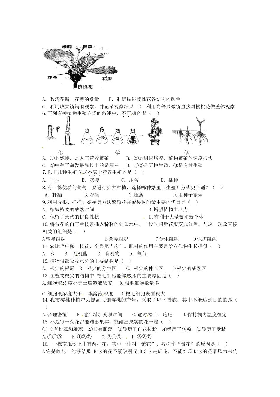 江苏省东海县青湖中学中考生物一轮复习 八年级《专题十二植物的生殖和发育》学案_第3页