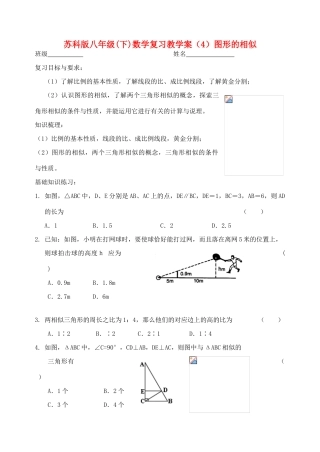 江苏省溧水县孔镇中学八年级数学下学期图形的相似复习教学案（无答案）
