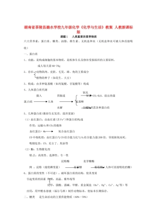 湖南省茶陵县潞水学校九年级化学《化学与生活》教案 人教新课标版