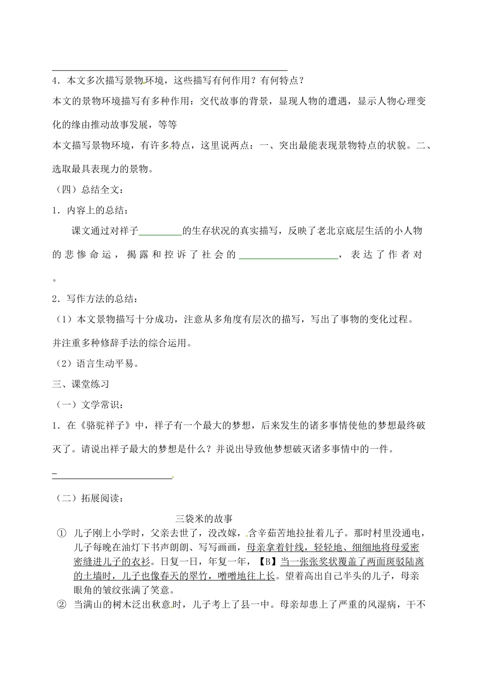 江苏省高邮市车逻初级中学九年级语文上册 7《在烈日和暴雨下》第二课时导学案 苏教版_第3页