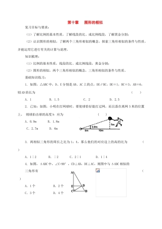八年级数学下册：第十章图形的相似复习学案苏科版