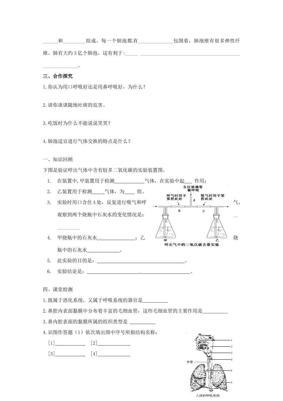 北京市延庆县第三中学七年级生物《人体的呼吸系统》学案_第3页