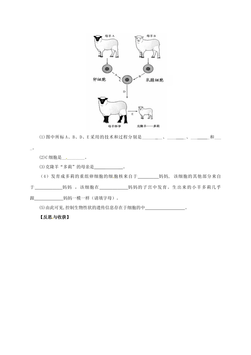 八年级生物下册 9.25.2 现代生物技术学案1 北师大版-北师大版初中八年级下册生物学案_第3页