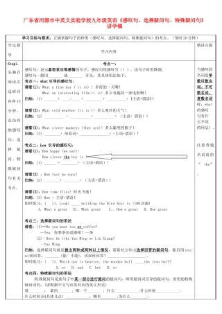 广东省河源市中英文实验学校九年级英语《感叹句、选择疑问句、特殊疑问句》讲学稿