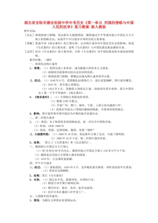 湖北省安陆市德安初级中学中考历史《第一单元 列强的侵略与中国人民的抗争》复习教案 新人教版