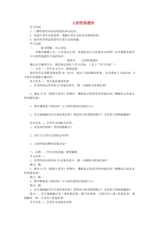 河南省濮阳市实验中学八年级生物下册 第七单元 2.4 人的性别遗传学案（无答案） 新人教版