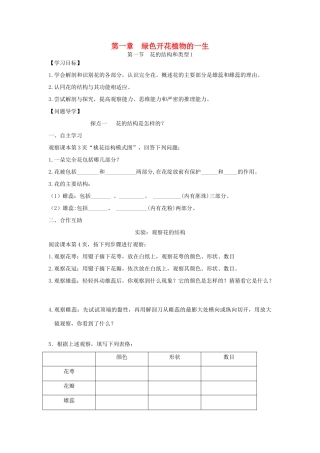 八年级生物上册 第一章绿色开花植物的一生学案 济南版