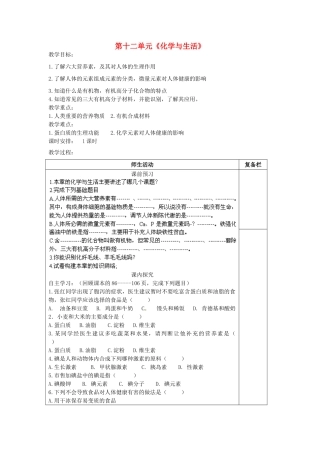 江苏省连云港市岗埠中学九年级化学下册 第十二单元《化学与生活》复习教案 （新版）新人教版