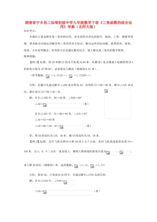 湖南省宁乡县三仙坳初级中学九年级数学下册《三角函数的综合运用》学案 北师大版