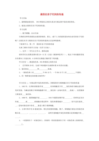 河南省濮阳市实验中学八年级生物下册 第七单元 2.2 基因在亲子代间的传递学案（无答案） 新人教版