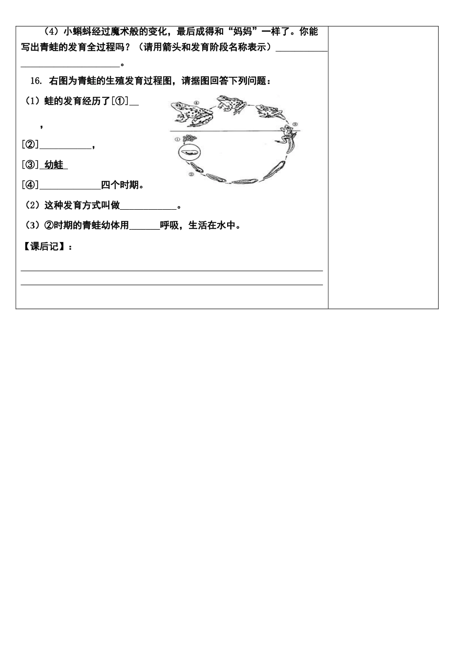 八年级生物两栖动物的的生殖和发育导学案人教版_第3页