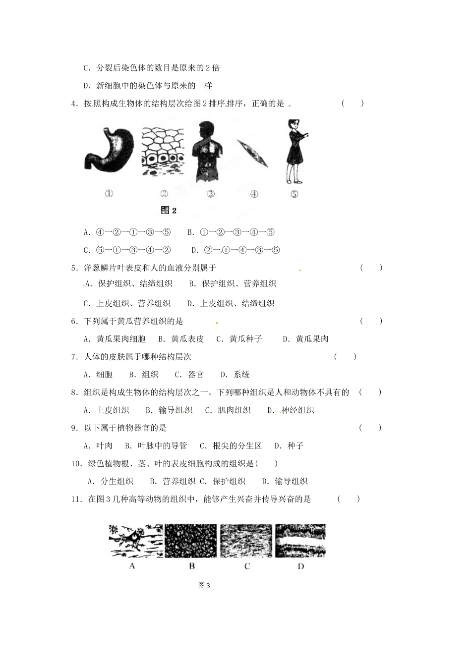 江苏省东海县青湖中学中考生物一轮复习 八年级《专题三生物体的结构层次》学案_第3页