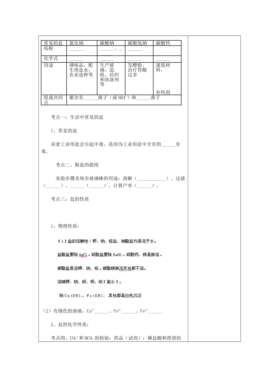 江苏省连云港市岗埠中学九年级化学下册 第十一单元《盐 化学肥料》复习教案 （新版）新人教版_第2页