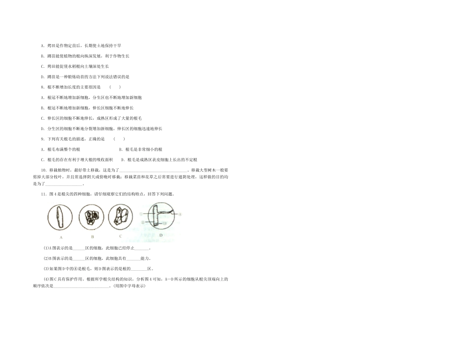 八年级生物上 3.2.1根的生长学案冀教版_第2页