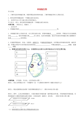 广西省桂林市灌阳县灌阳镇红旗初级中学七年级生物上册 第二单元 第二章 第四节 单细胞生物导学案（无答案）（新版）新人教版