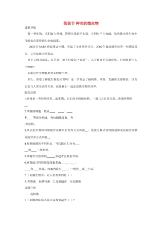 八年级生物下：神奇的微学案苏教版