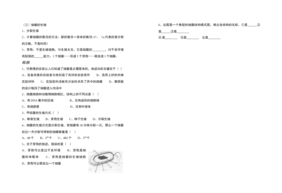 八年级生物 细菌 学案人教版_第2页