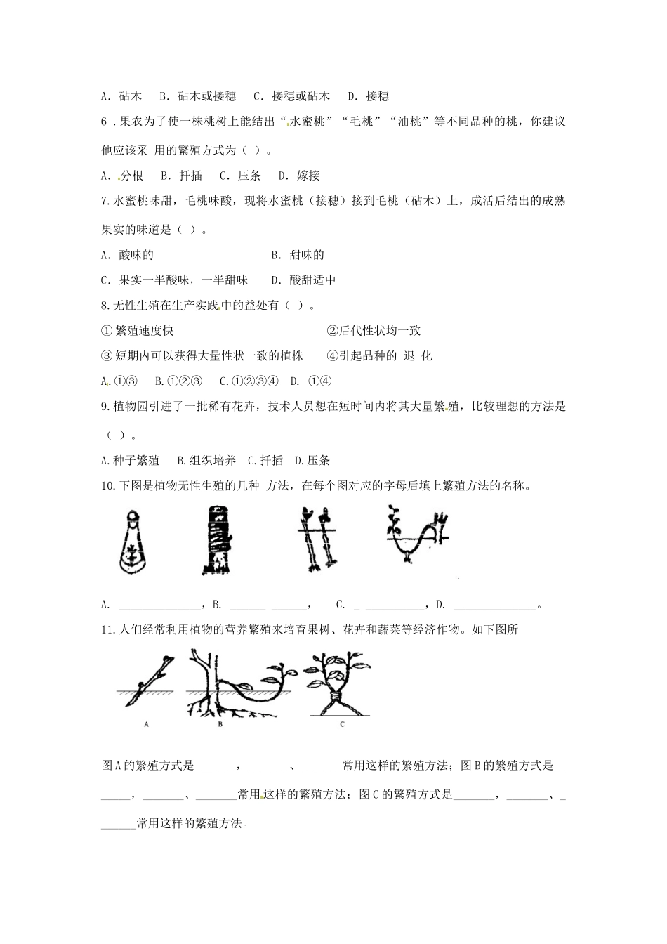 八年级生物上册 4.1.7植物的无性生殖导学案 （新版）济南版-（新版）济南版初中八年级上册生物学案_第2页