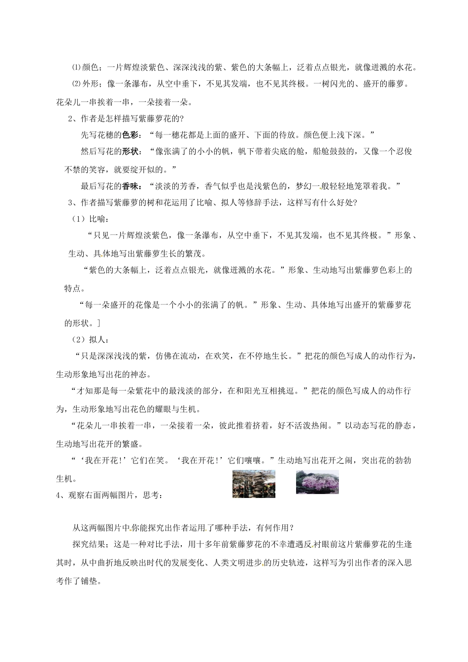 福建省晋江市八年级语文下册 5 紫藤萝瀑布学案 苏教版-苏教版初中八年级下册语文学案_第2页