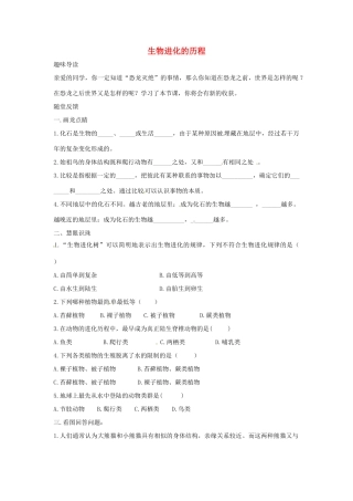 八年级生物下册 5.1.3生物进化的历程导学案（答案不全）（新版）济南版-（新版）济南版初中八年级下册生物学案