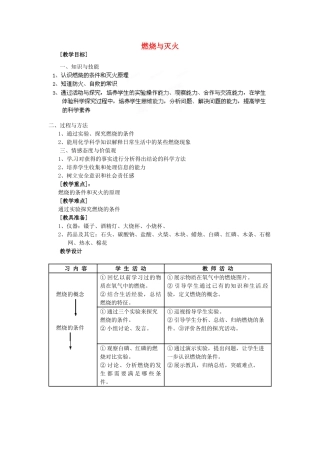 安徽省合肥市龙岗中学九年级化学 《燃料与灭火》教案